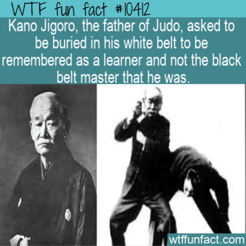 WTF Fun Fact - Buried In White Belt