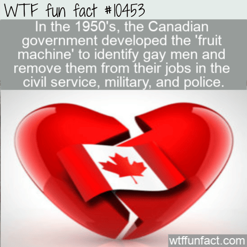 WTF Fun Fact - Canadian Fruit Detection Machine
