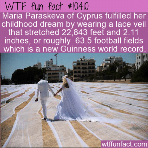WTF Fun Fact - Longest Lace Veil
