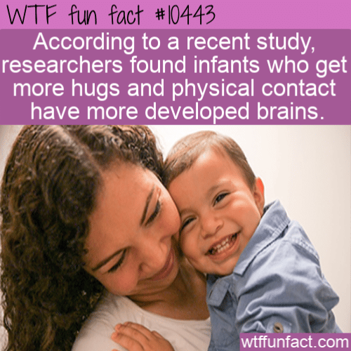 WTF Fun Fact - Hugs Develop Kids Brains