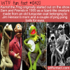 WTF Fun Fact – Kermit The Lizard?