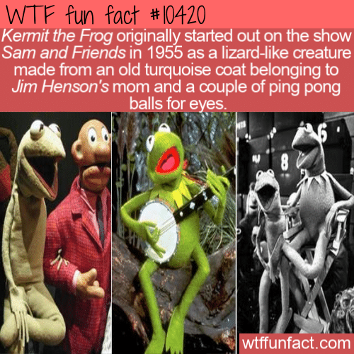 WTF Fun Fact - Kermit The Lizard?