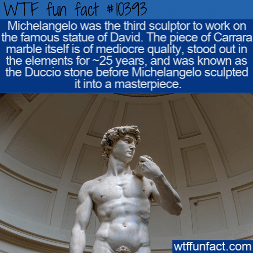 WTF Fun Fact - Michelangelo Duccio