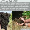 WTF Fun Fact – Topsoil Formation