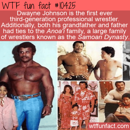 WTF Fun Fact - The Rock