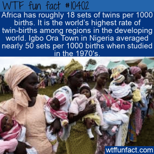 WTF Fun Fact - Twin-birth Makes Highest Record