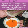 WTF Fun Fact – Insulin And Rainbow Trout