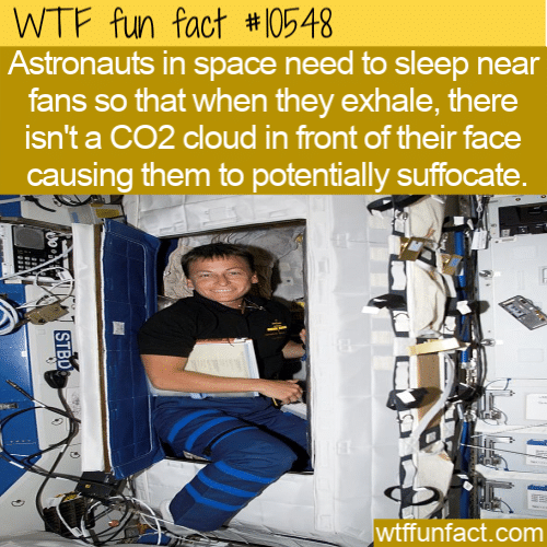 WTF Fun Fact - Astronauts Sleep With Fans