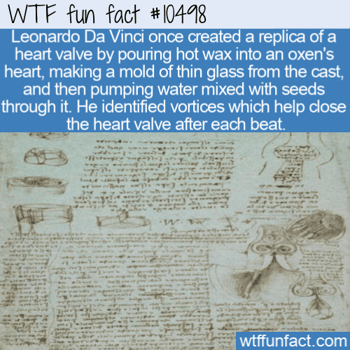 WTF Fun Fact - Da Vinci's Heart Valve