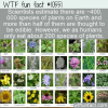 WTF Fun Fact – So Many Edible Plants