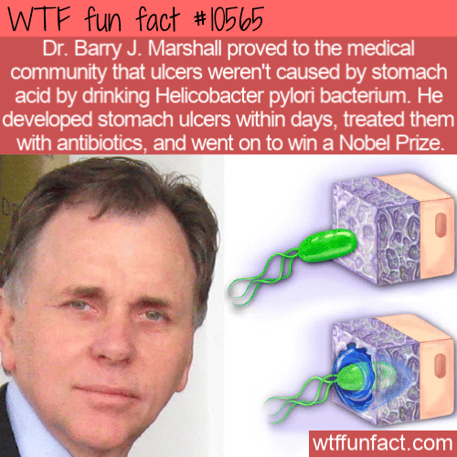 WTF Fun Fact - H. pylori Bacteria Causes Ulcer