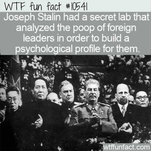 WTF Fun Fact - Hidden Lab Foreign Leaders