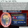 WTF Fun Fact – Hot Takes
