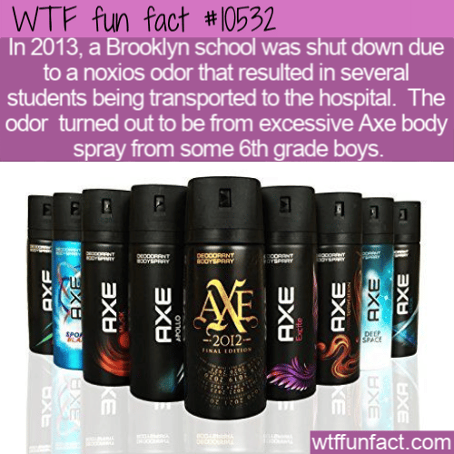 WTF Fun Fact - NO AXE