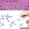 WTF Fun Fact – Your Impressive Nose