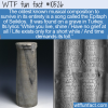 WTF Fun Fact – Oldest Known Song