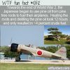 WTF Fun Fact – Pine Roots For Jet Fuel