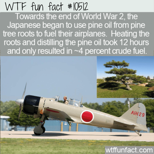 WTF Fun Fact - Pine Root Jet Fuel
