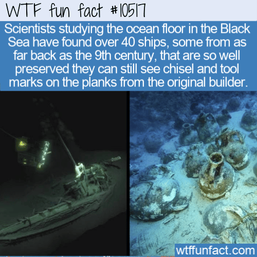 WTF Fun Fact - Ships Found In Black Sea