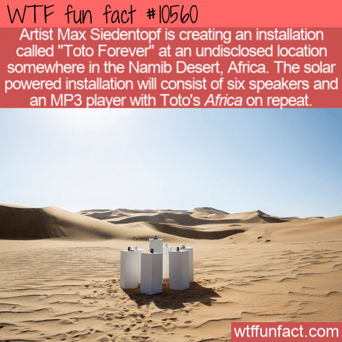 WTF Fun Fact - Toto Forever In Africa