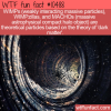 WTF Fun Fact – WIMPy Theoretical Particles