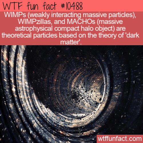 WTF Fun Fact - WIMPs and WIMPZILLAs