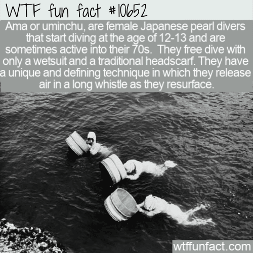 WTF Fun Fact - Ama