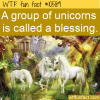 WTF Fun Fact – A Blessing Of Unicorns