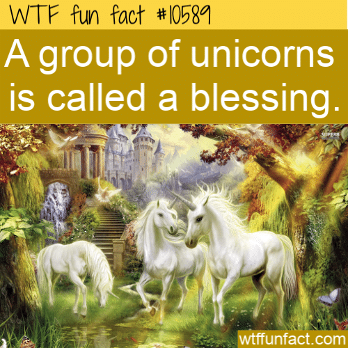 WTF Fun Fact - Blessing of Unicorns