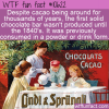 WTF Fun Fact – The Chocolate Bar Invention