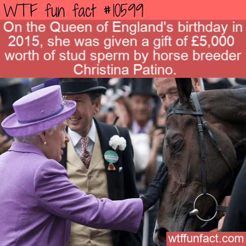 WTF Fun Fact - Gift Of Horse Semen