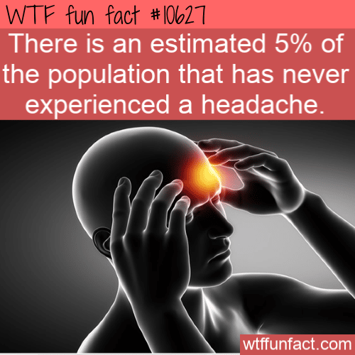 WTF Fun Fact - Never Had A Headache