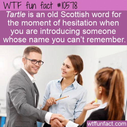 WTF Fun Fact - Tartle Scottish