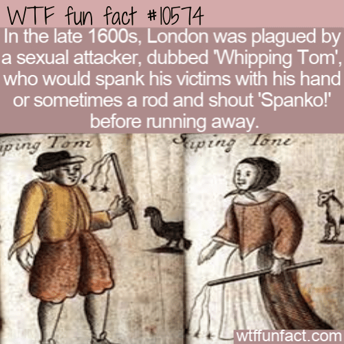 WTF Fun Fact - Whipping Tom