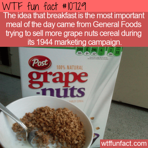 WTF Fun Fact - Breakfast Campaign For Healthy Life