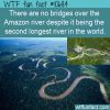 WTF Fun Fact – No Bridge Over Amazonian Waters