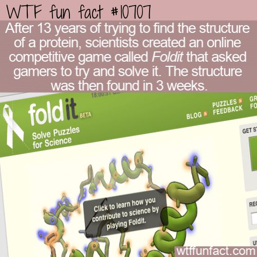 WTF Fun Fact - Gamers Solve Science Problem