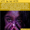 WTF Fun Fact – Glitter Is Harmful