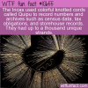 WTF Fun Fact – Inca Quipu