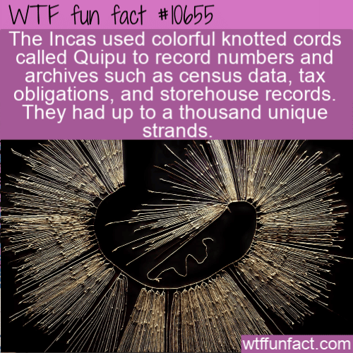 WTF Fun Fact - Inca Quipu