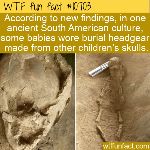 WTF Fun Fact - Kid Wore Kid's Skull