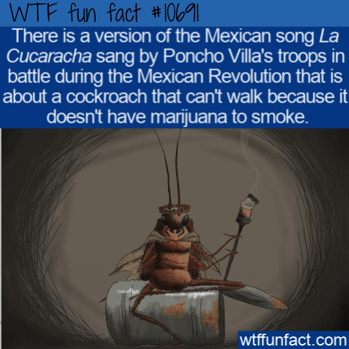 WTF Fun Fact - La Cucaracha