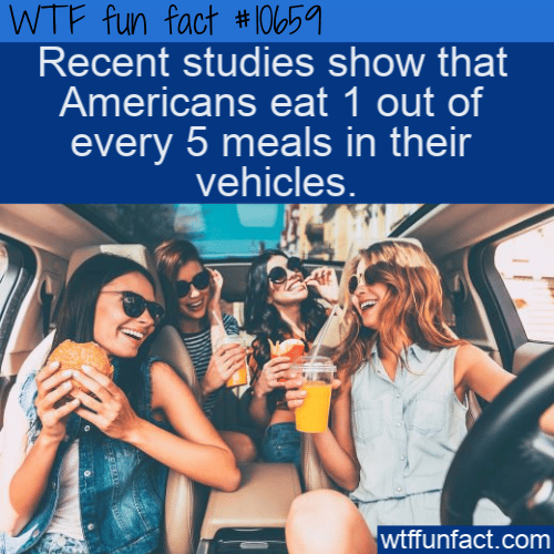 WTF Fun Fact - Meals In Cars