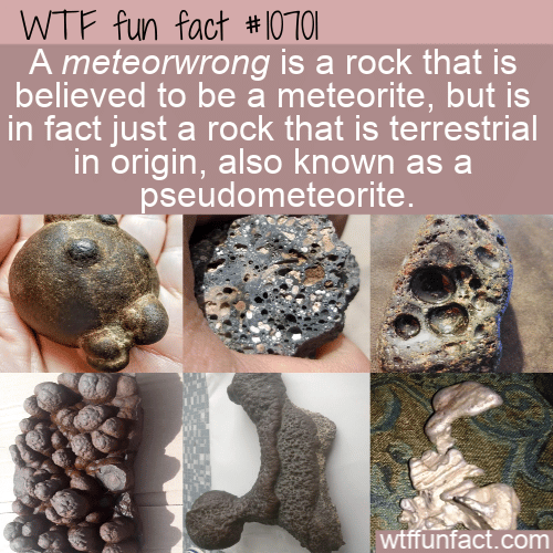 WTF Fun Fact - Meteorwrong