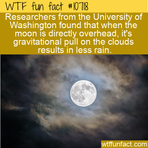 WTF Fun Fact - Moon Stops The Rain