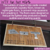 WTF Fun Fact – Nightingale Floor