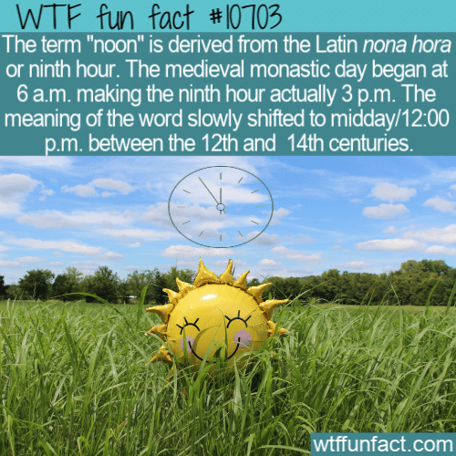 WTF Fun Fact - Noon Nona Hora