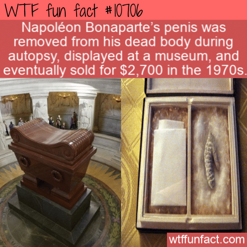 WTF Fun Fact - Penis Displayed And Sold