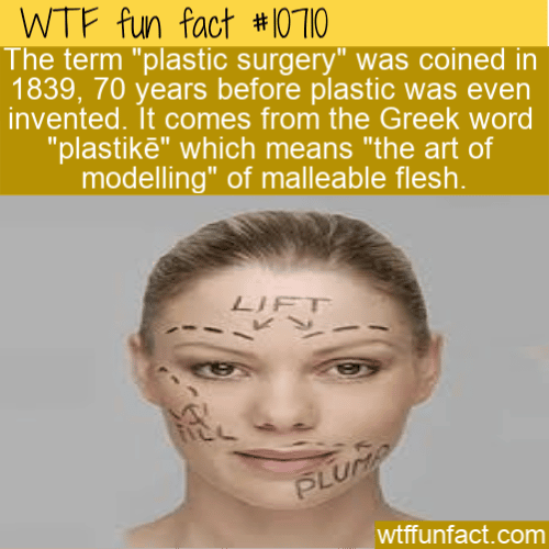 WTF Fun Fact - Plastic Surgery