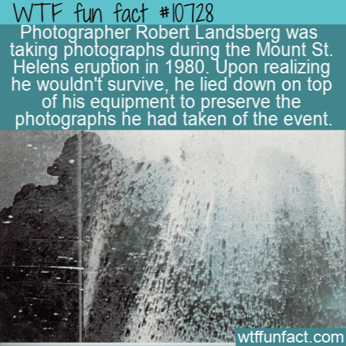 WTF Fun Fact - Robert Landsberg